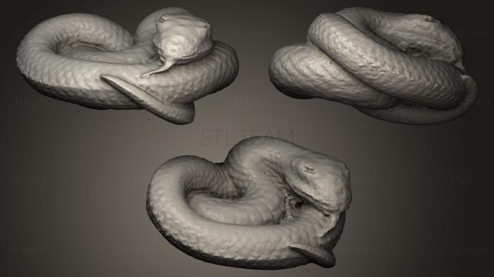Статуэтки животных Свернувшаяся змея
